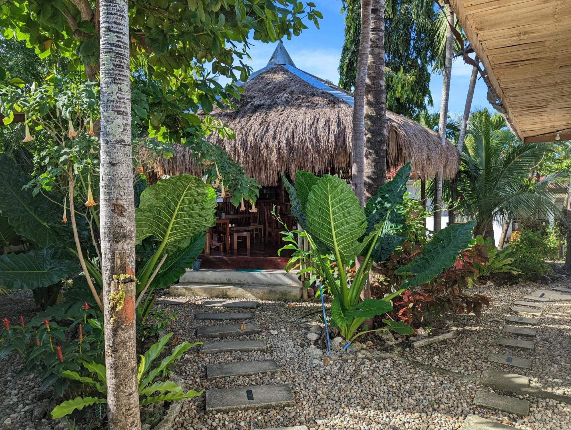 Crazy Bears Hostel Moalboal Exterior foto